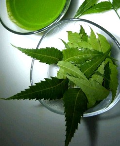 nEEM-eXTRACTS